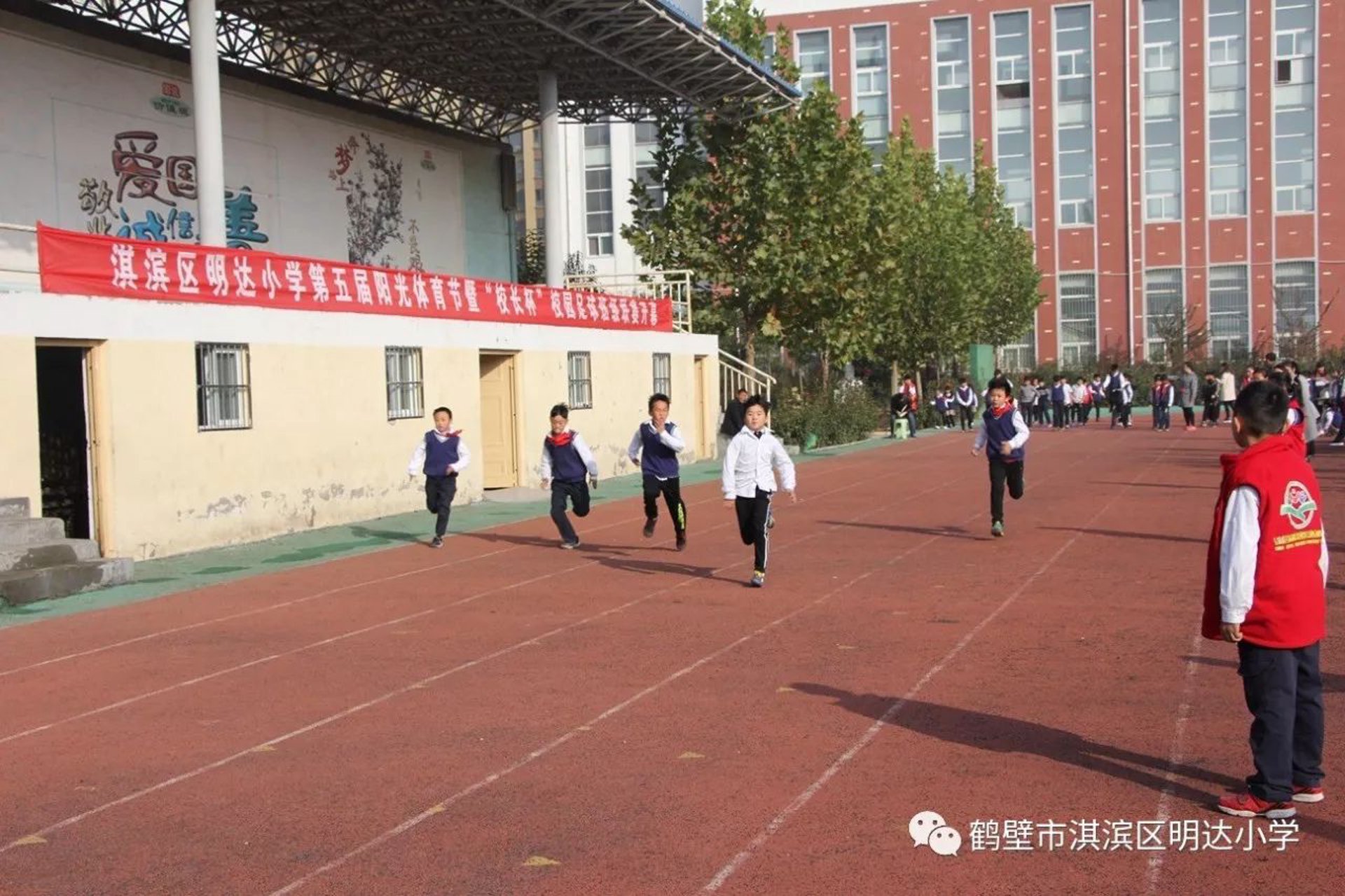明达彩钢